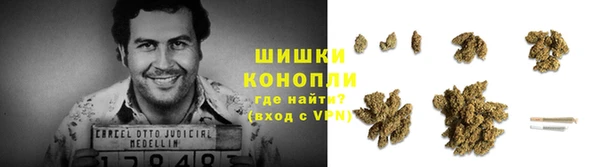 сатива Балабаново