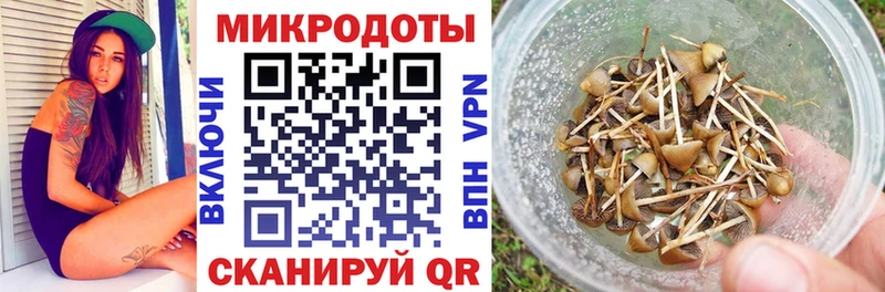 Галлюциногенные грибы ЛСД  KRAKEN вход  Городище 